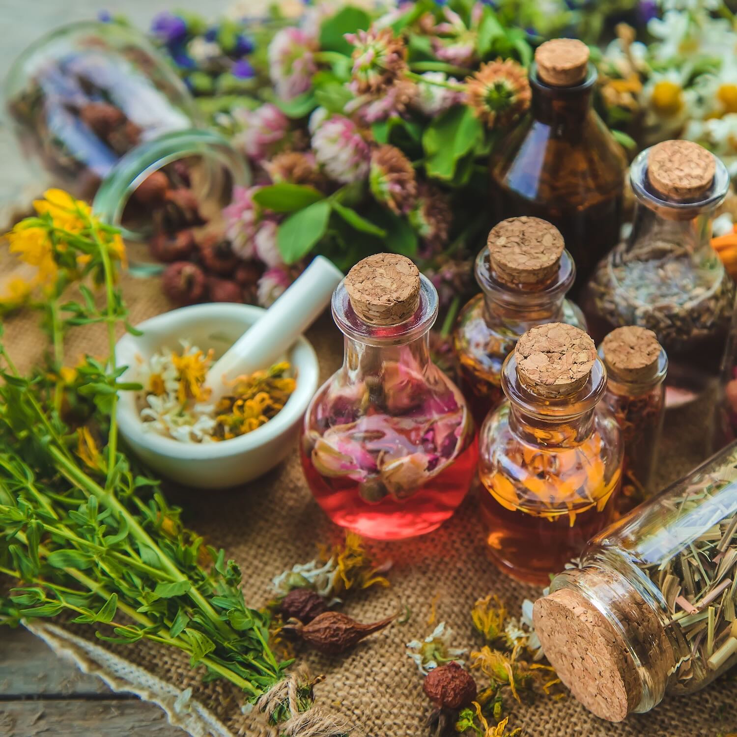 Aromathérapie, phytothérapie, Pharmacie de Bien Assis, Montluçon